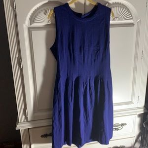 Shape FX Blue Dress